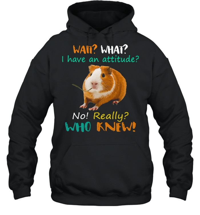 Wait What I Have an attitude no really who knew shirt Unisex Hoodie