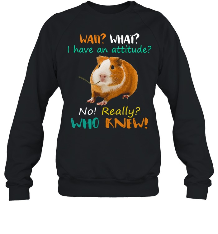 Wait What I Have an attitude no really who knew shirt Unisex Sweatshirt