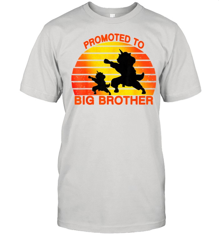 Promoted To Big Brother 2021 Leveled up to Big Brother Again shirt