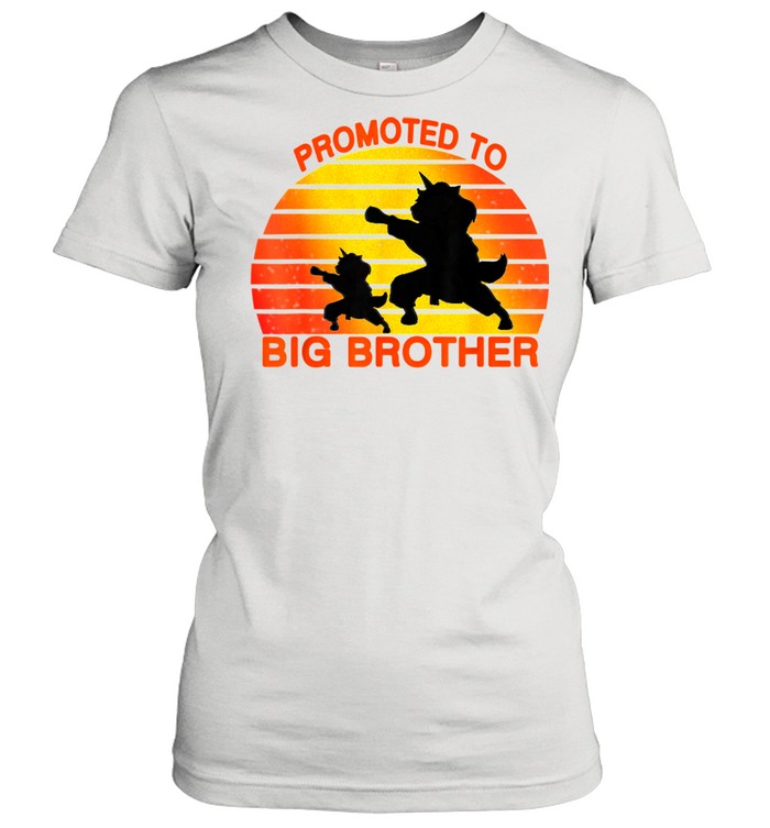 Promoted To Big Brother 2021 Leveled up to Big Brother Again shirt Classic Women's T-shirt