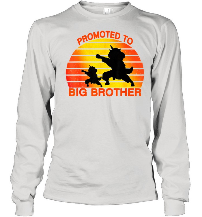 Promoted To Big Brother 2021 Leveled up to Big Brother Again shirt Long Sleeved T-shirt
