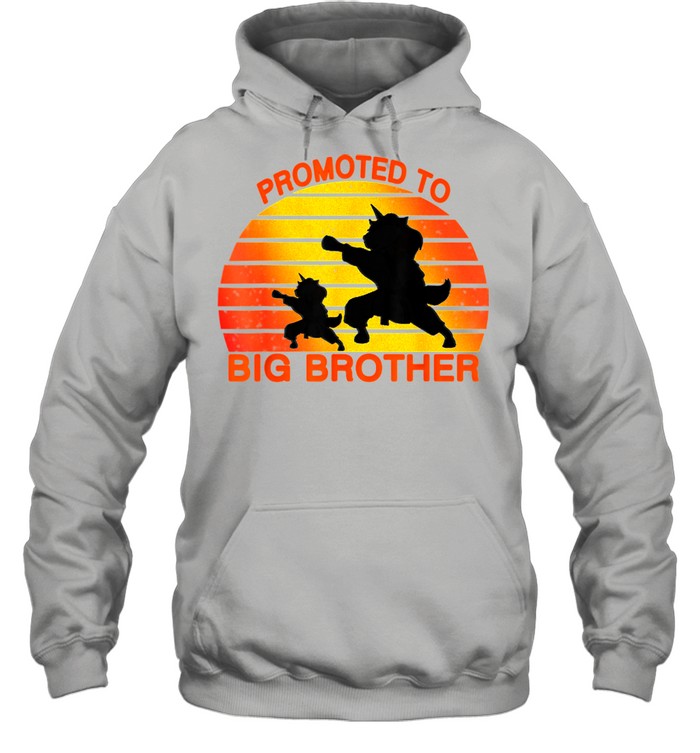 Promoted To Big Brother 2021 Leveled up to Big Brother Again shirt Unisex Hoodie