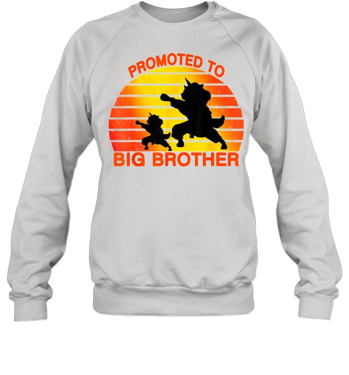 Promoted To Big Brother 2021 Leveled up to Big Brother Again shirt Unisex Sweatshirt