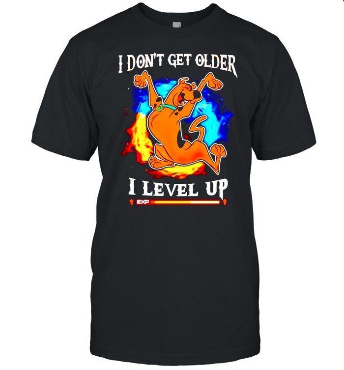I dont get older I level up shirt