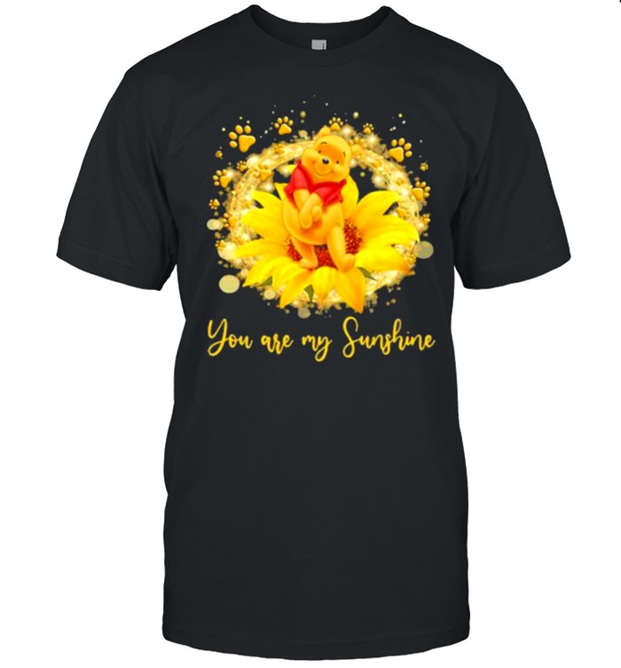 You are my sunshine pool bear flower shirt